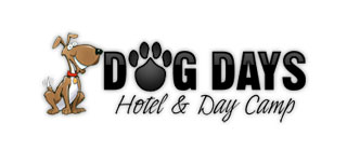 Dog Days Hotel & Day Camp | Dog Boarding, Puppy Daycare, Day Camp